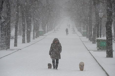 Извор: Големи врнежи од снег во Москва во март годинава. Извор: Артјом Житенев / РИА Новости